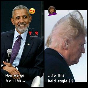 Meet your Posher, Malik